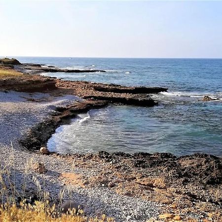 Llenate De Mar Vila Dénia Exterior foto